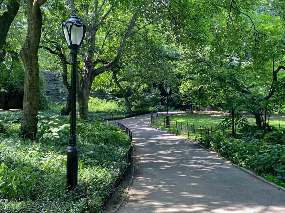 Central Park - 5