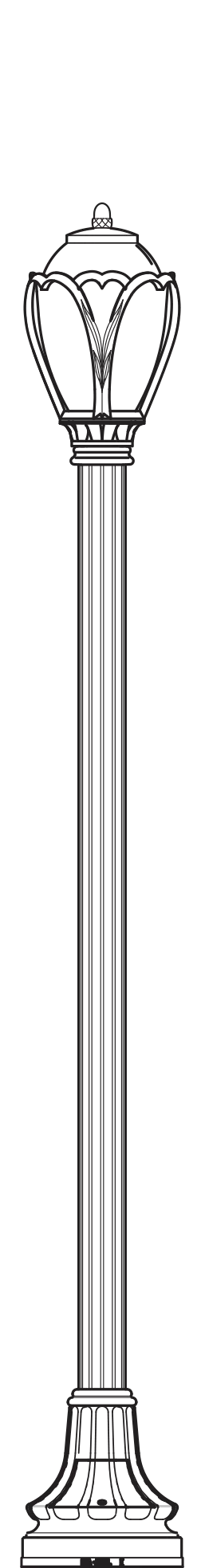 Washington Pole | WAL