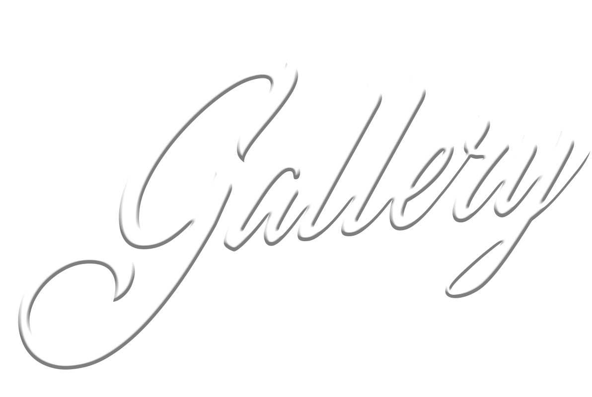 post-top-gallery-logo